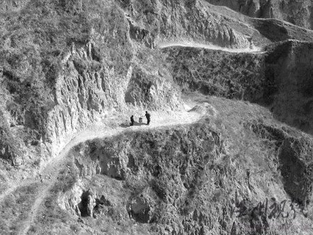 剽竊者將照片旋轉(zhuǎn)后獲國際攝影大賽特等獎(jiǎng)(圖)