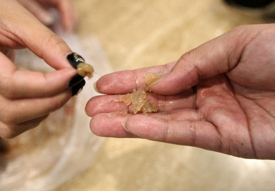 瑞安出現注膠蝦