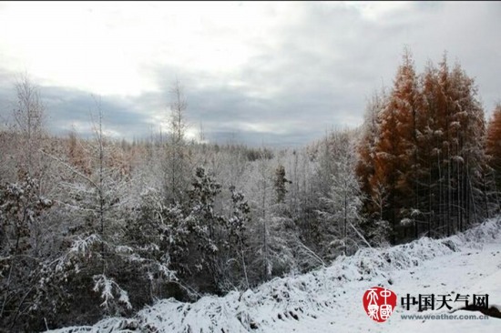 呼倫貝爾下雪了