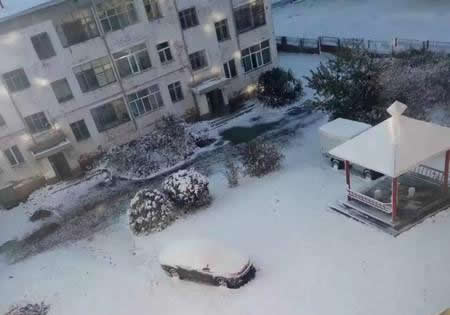 呼倫貝爾下雪了