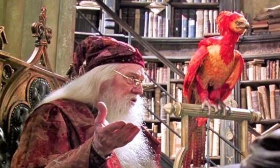 上古神獸圈粉無數 神奇動物2上古神獸騶吾