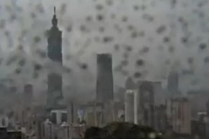 臺灣發生6.3級地震 我國臺灣省宜蘭縣地震