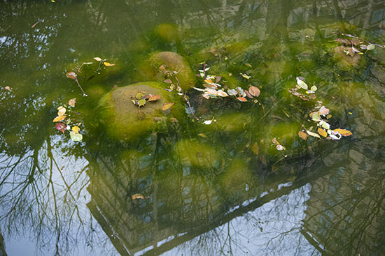 溫州永嘉甌北鉑晶嘉園新換的物業公司更差