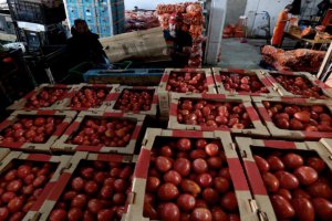 美國對墨西哥新鮮番茄征收17%關稅