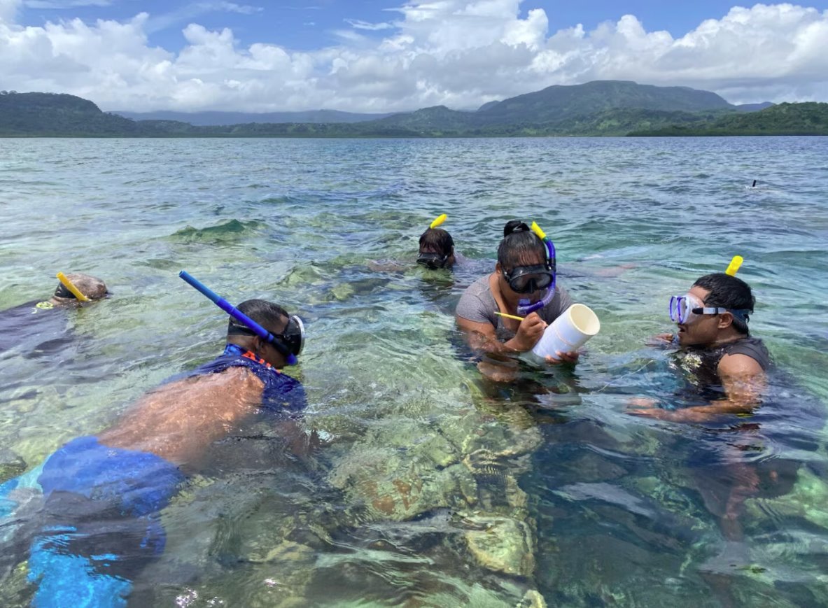 監(jiān)測(cè)密克羅尼西亞聯(lián)邦自然生態(tài)系統(tǒng)的恢復(fù)情況