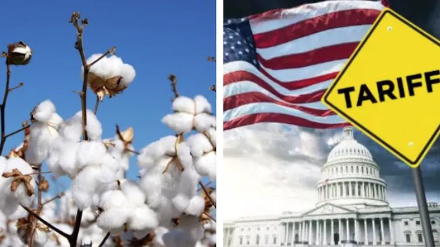 受美國關稅影響,印度暫停棉花進口關稅,以支持紡織業