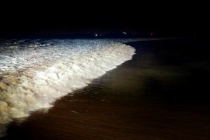 錢(qián)塘江現(xiàn)震